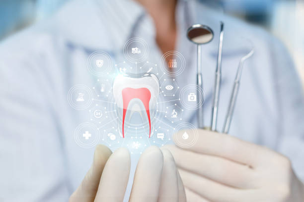  White Settlement, TX Holistic Dental Services Pros